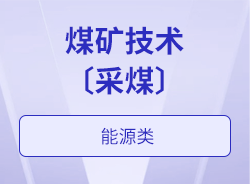 煤礦技術(shù)〔采煤〕