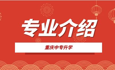 重慶市涪陵信息技術(shù)學(xué)校信息技術(shù)類專業(yè)介紹